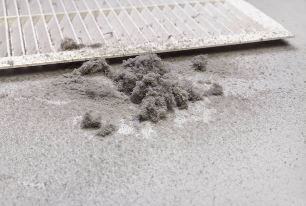 Best Local Air Duct Cleaning Services  in Lovelock, NV